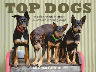 Book-club-top-dogs-Angela-Goode