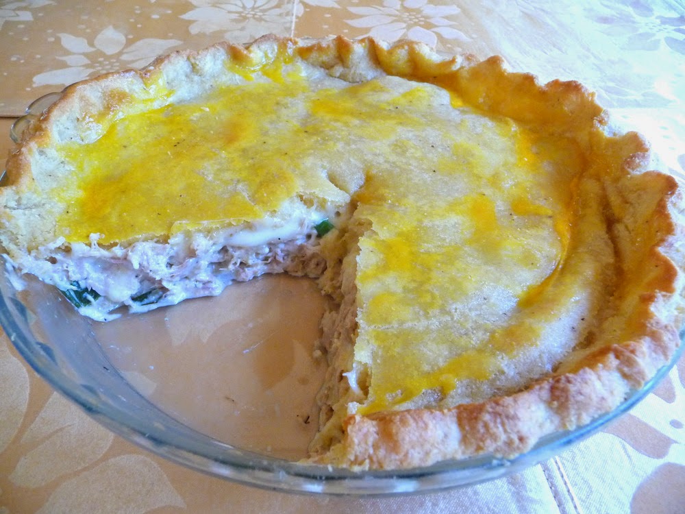 SPLENDID LOWCARBING BY JENNIFER ELOFF CHEESY TUNA PIE