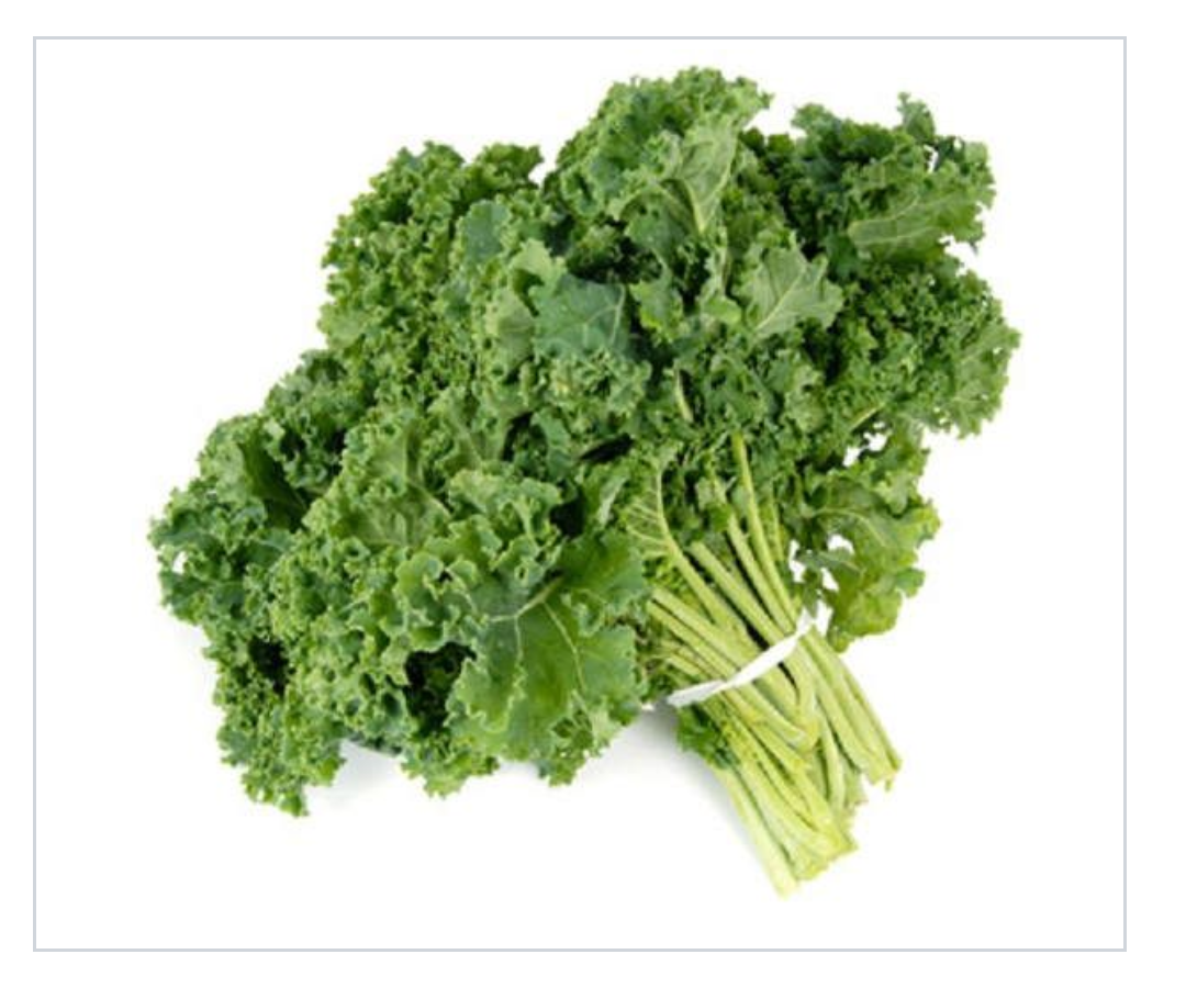 Salud y Bienestar El Kale