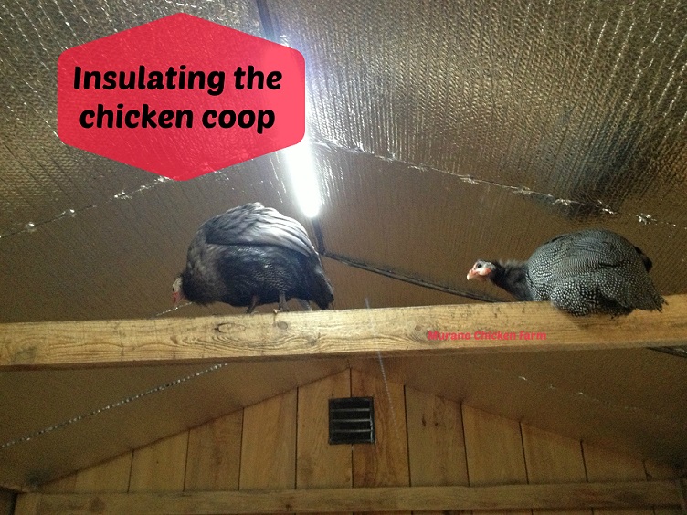 Murano Chicken Farm Insulating the chicken coop
