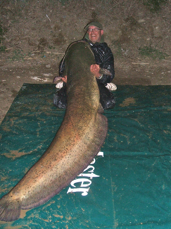 Joe Chatterton's Angling Diary Spanish Catfishing with Catmaster tours