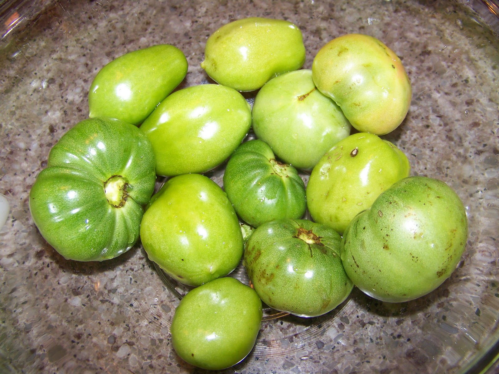 Our Daily Green Green Tomato Green