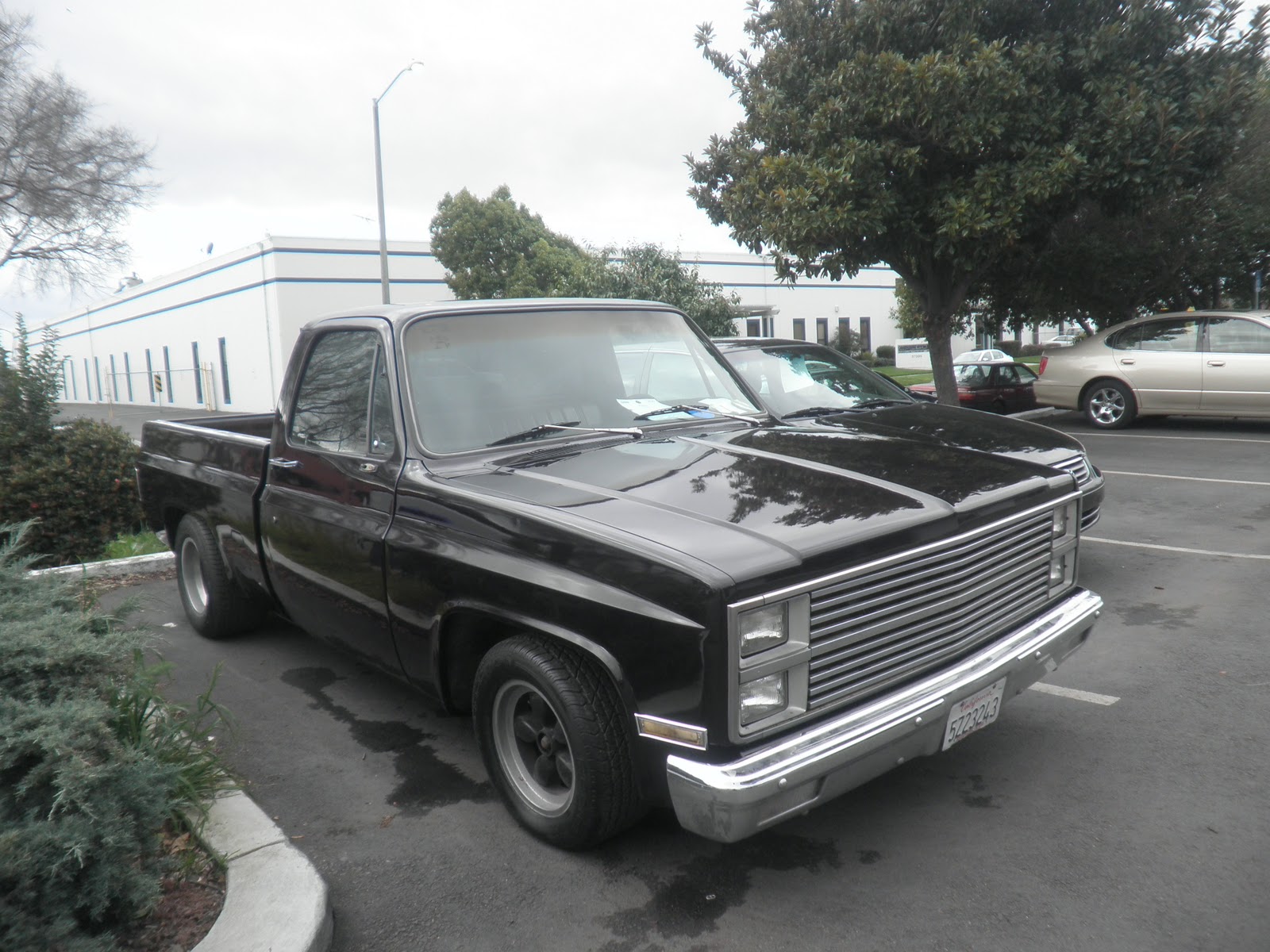 World Car Review 1982 GMC C1500 Pick up with Auto bodywork