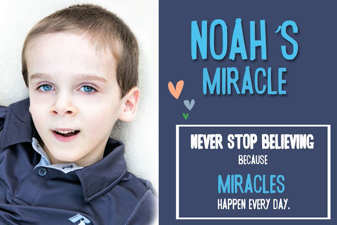 Noah's Miracle 