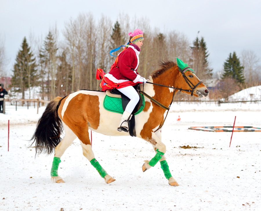 Конный спорт пермь. Конный ездовой спорт. Ездовой конный спорт в вузе. Ездовой клуб в Бугуруслане.