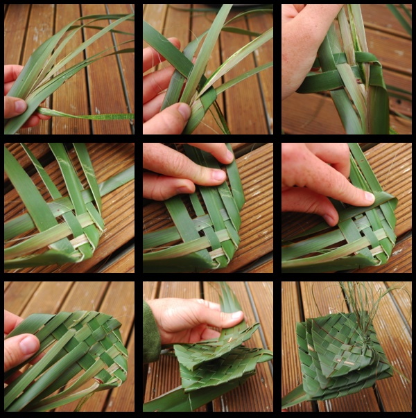 CCSP New Zealand Spring 2013 Fun With Flax