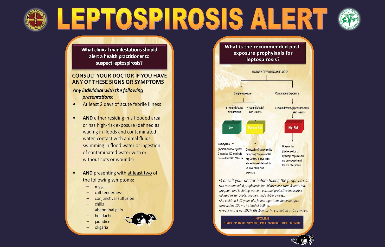 barbiesunrise Leptospirosis