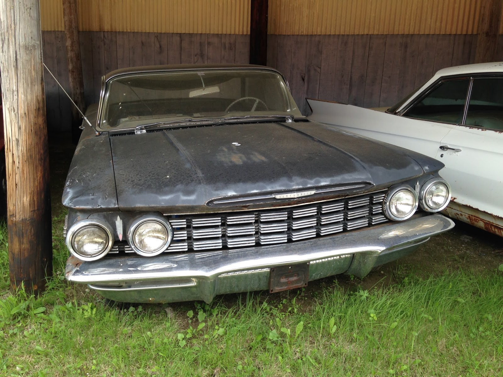 autoliterate Yard Dogs at Goldenrod Garage