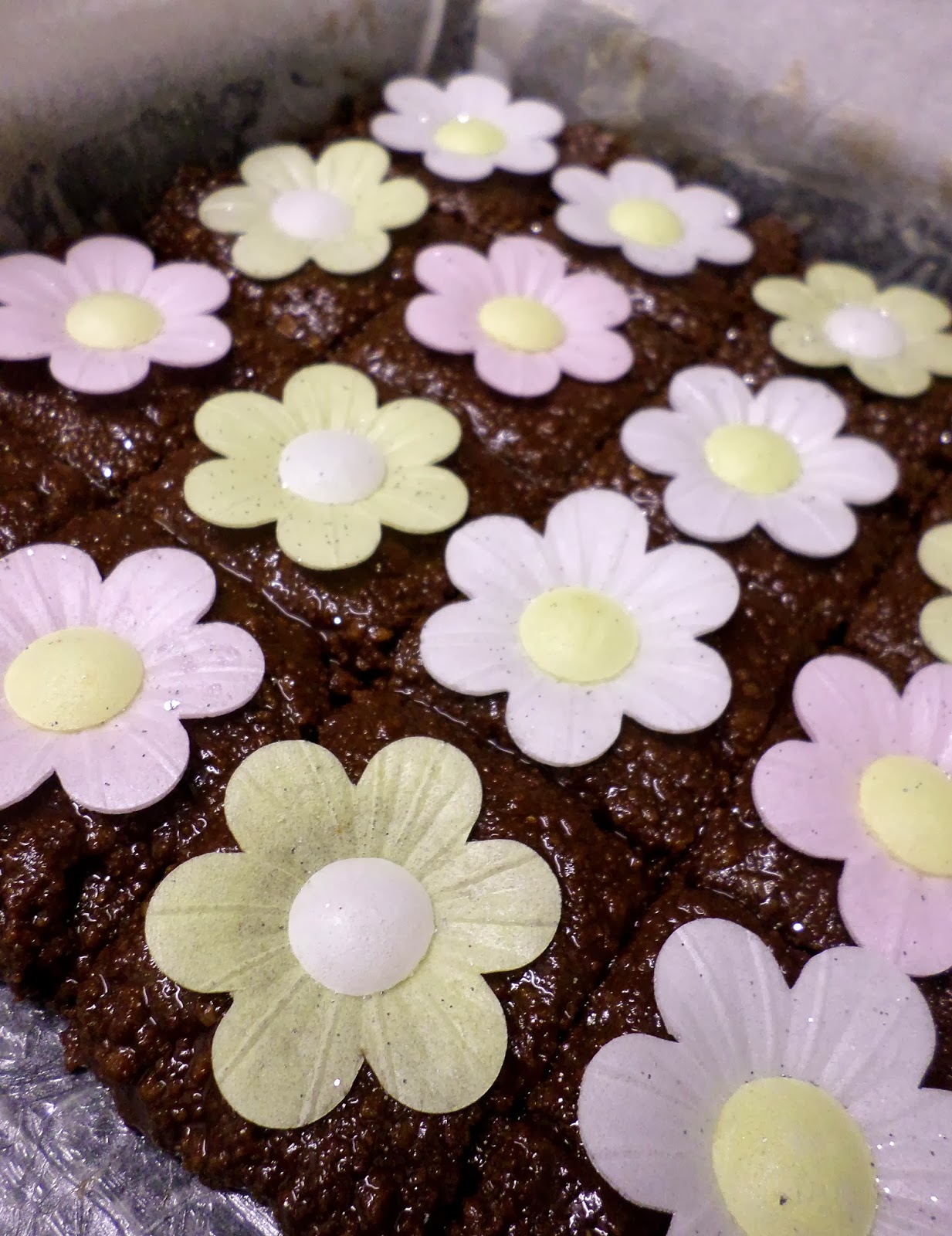 Eat Rainbow Love Easter chocolate biscuit squares