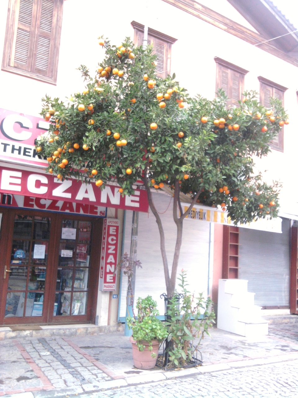 asligibisiyok Radisson Blu