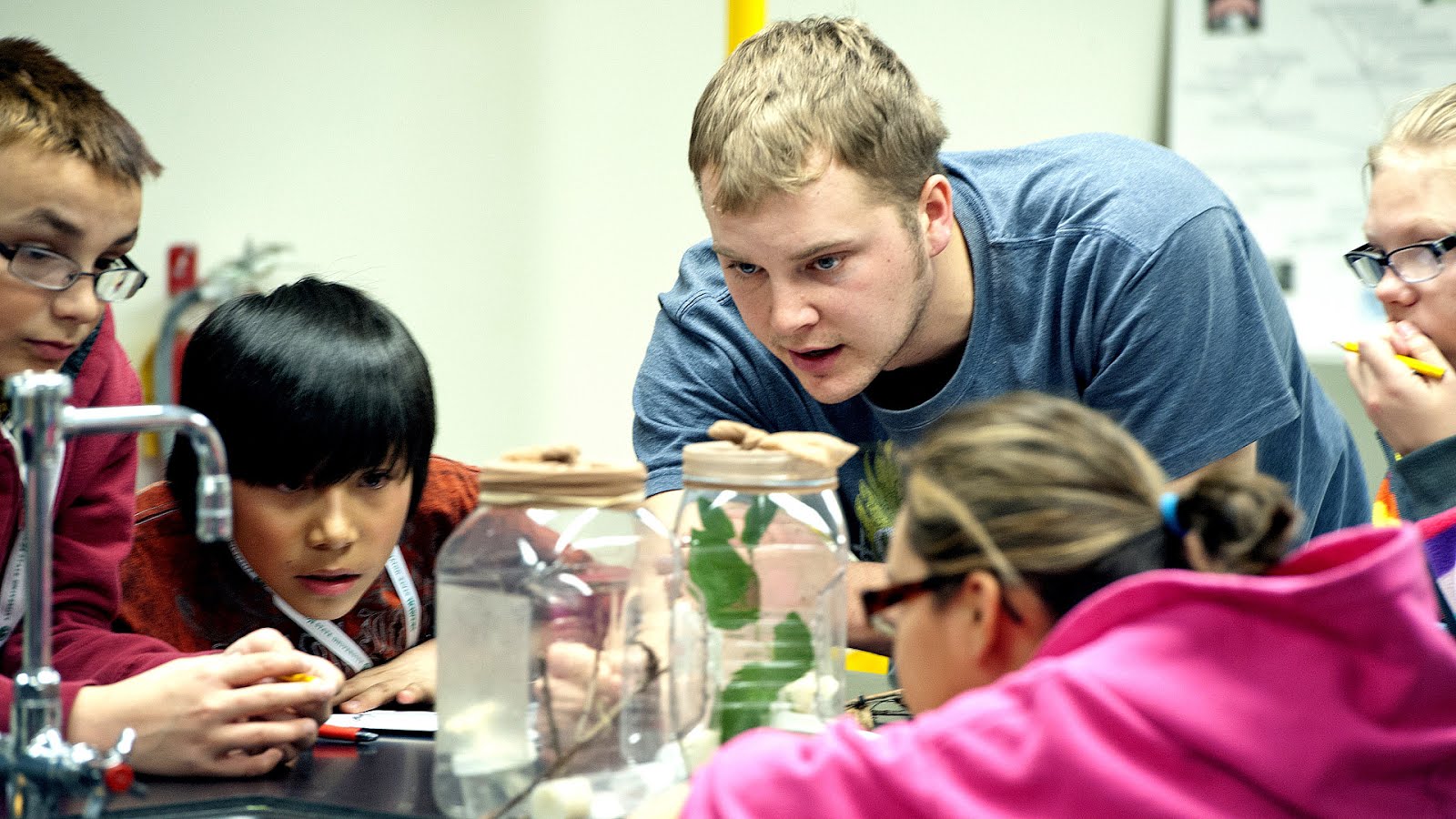 Education coursework requirement picture