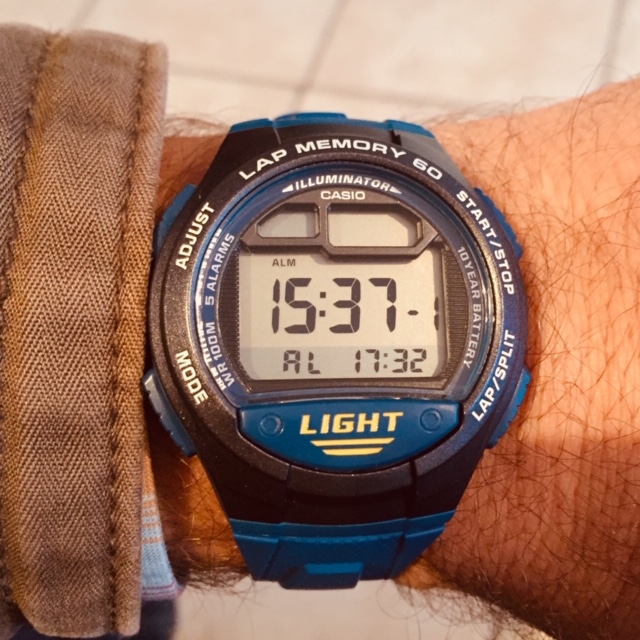 casio 734