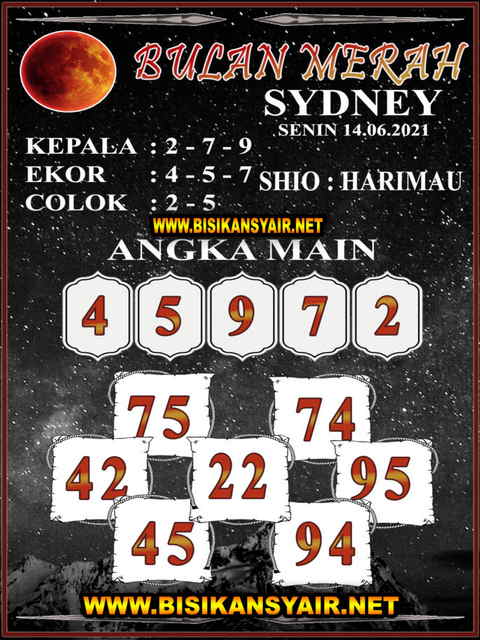gambar togel sydney
