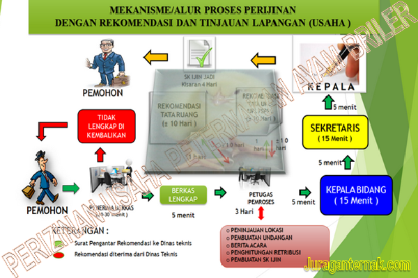 Info Ternak Unggas Perizinan Usaha Peternakan Ayam Briler