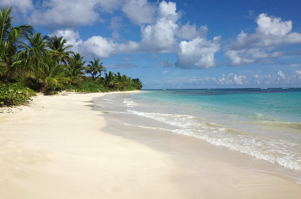 Шри ланка пляжи с белым песком Шри ланка пляжи с белым песком