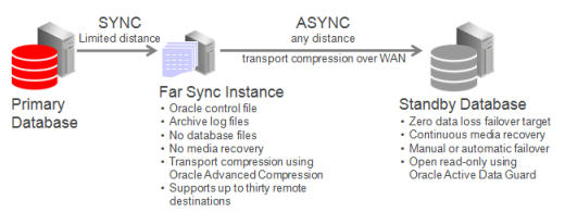 what is redo in database