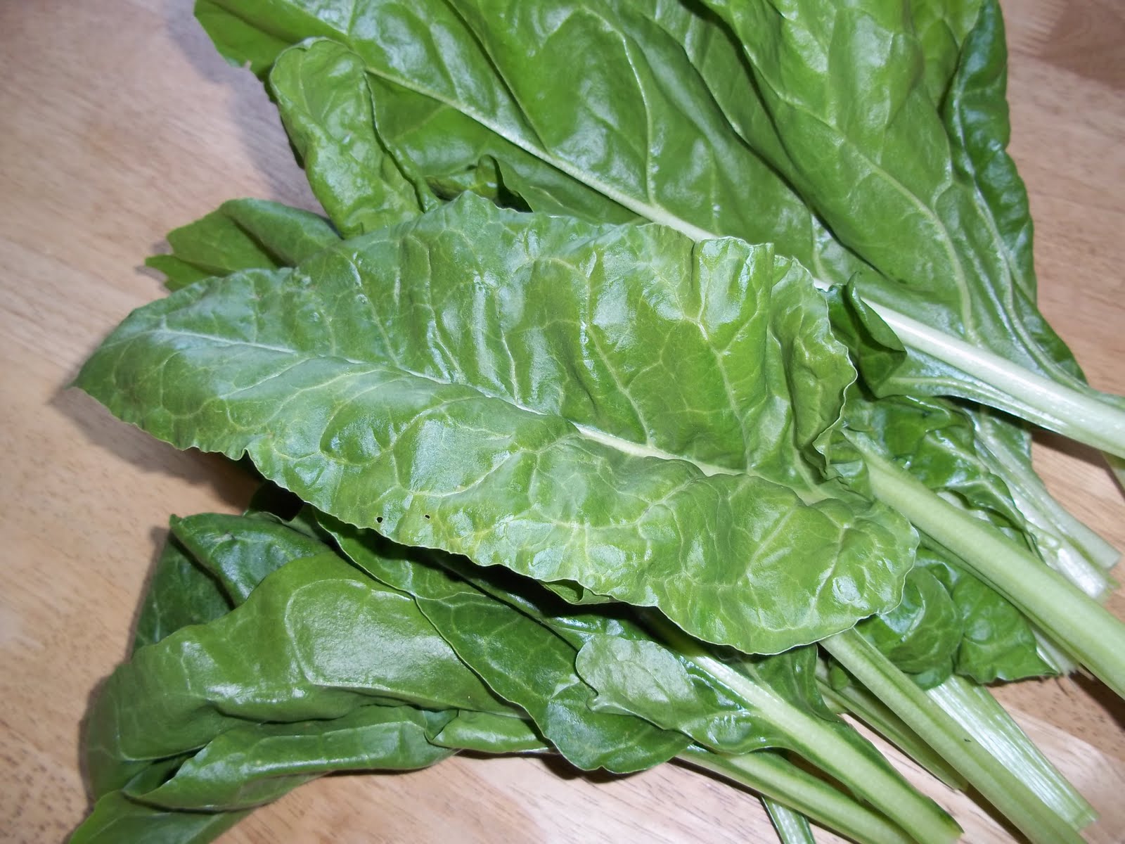Lucy 'In the sky' Spinach Garden Harvest