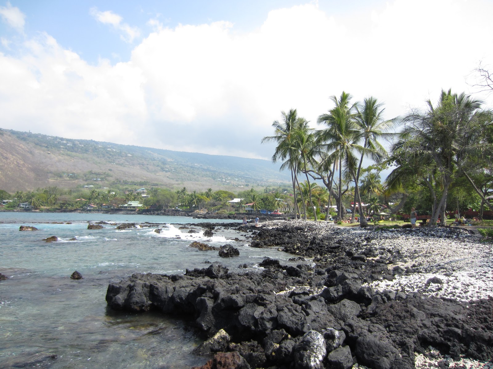 Yellow Wood Settling Into IslandFarm Life