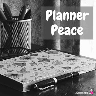what is planner peace ?