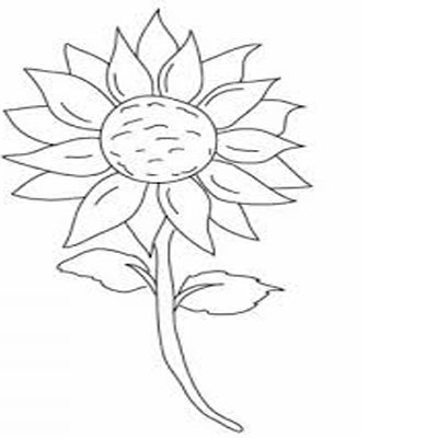 Mewarnai Gambar Bunga Matahari Aneka Mudah Mudahan Berguna Bagi Mencari