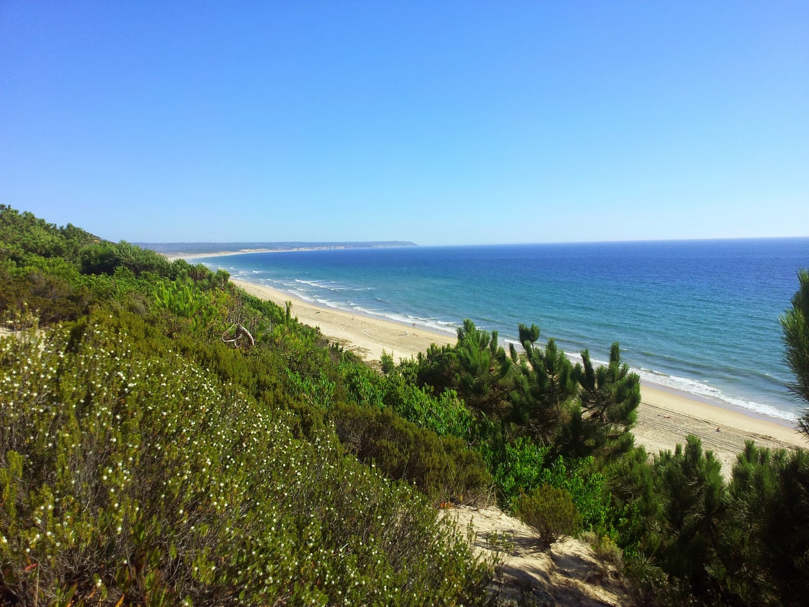 20140807_175251.jpg