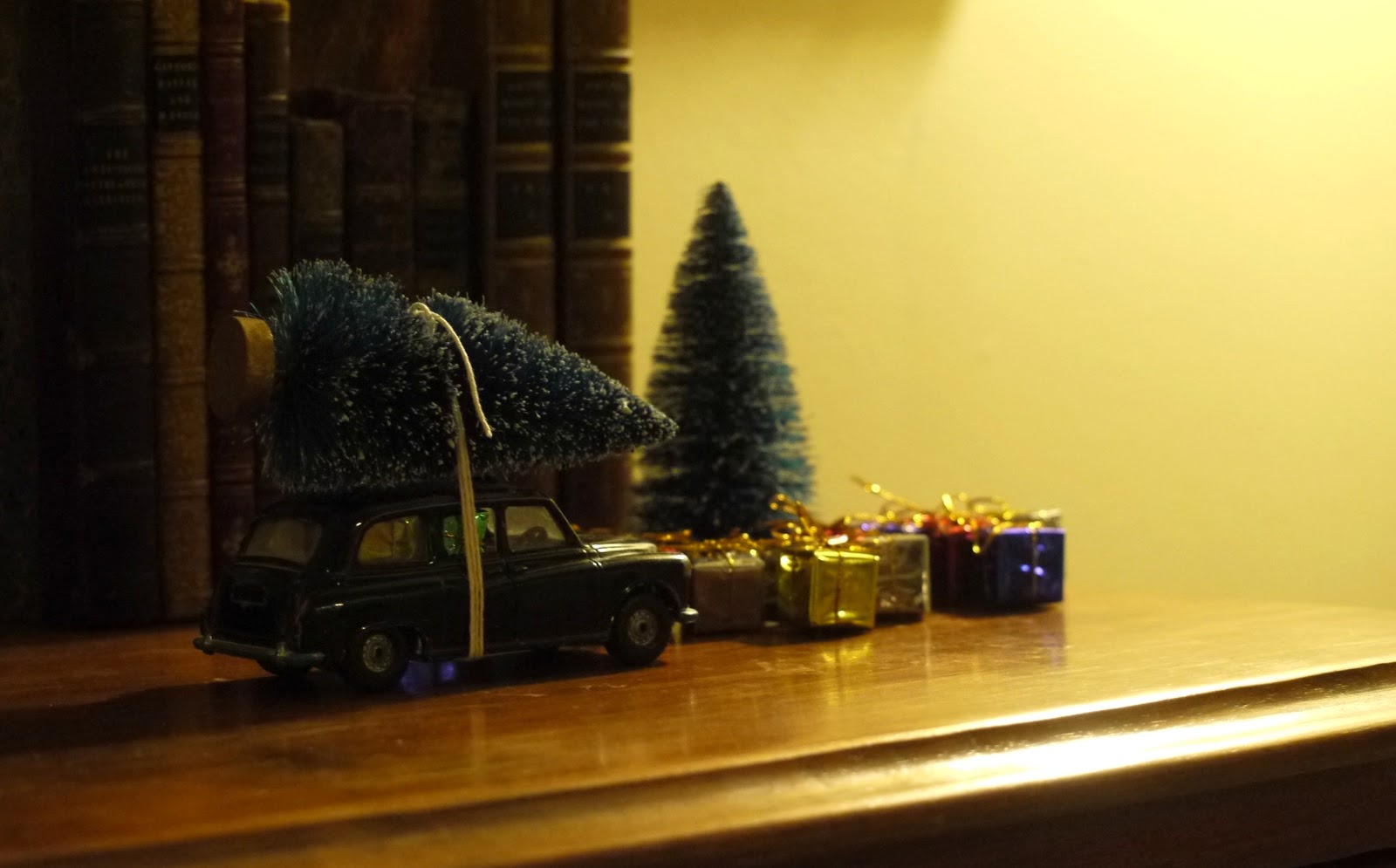 Sense and Simplicity The PutaTreeonIt Craze