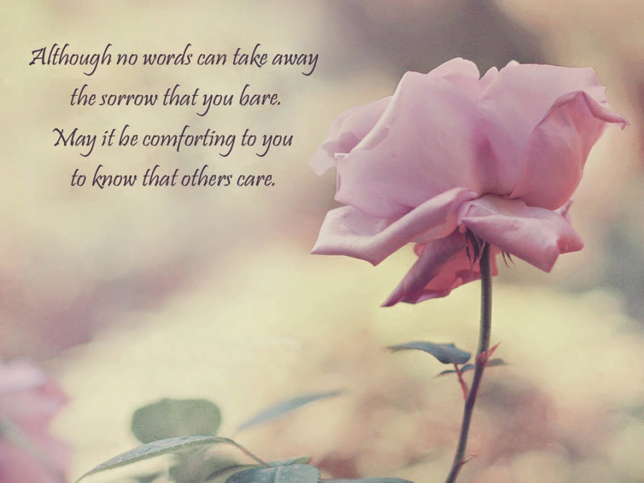"Although no word can take away the sorrow that you bare
