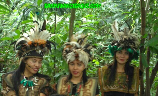 Jelajah Kampoeng Primitif Di Banyuwangi Serasa Berada Di Dunia Yang Berbeda