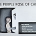 FUTURISTIC MICE TWO: WOODYLESS PURPLE ROSE OF CAIRO