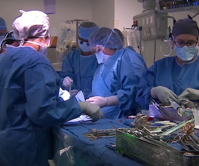 Medical Career Training School - Abcott Institute: Important Roles and
