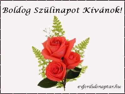 Születésnapi köszöntő-56