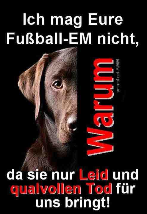 Blackfairys Welt 2011