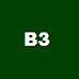 B3 Vitamini B3 Vitaminin B3 Faydaları