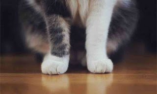 new free images websites new free images websites