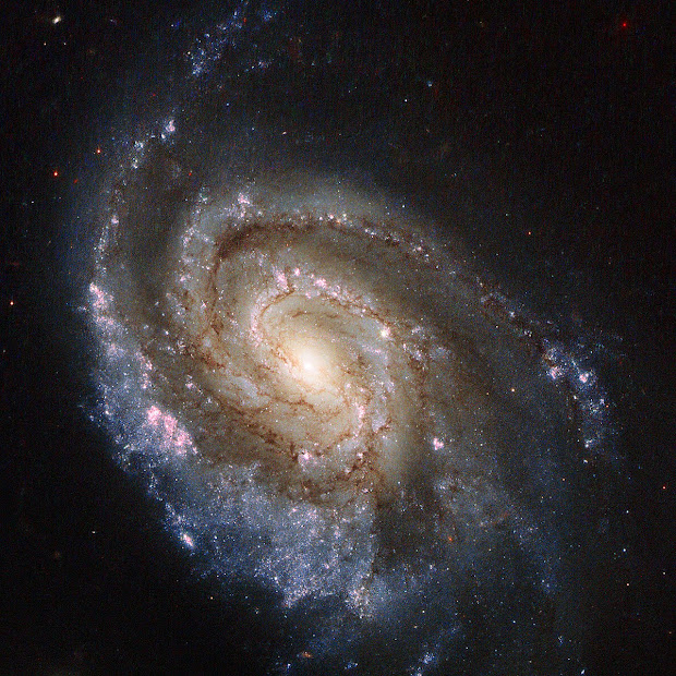 Supernovae in Spiral Galaxy NGC 6984