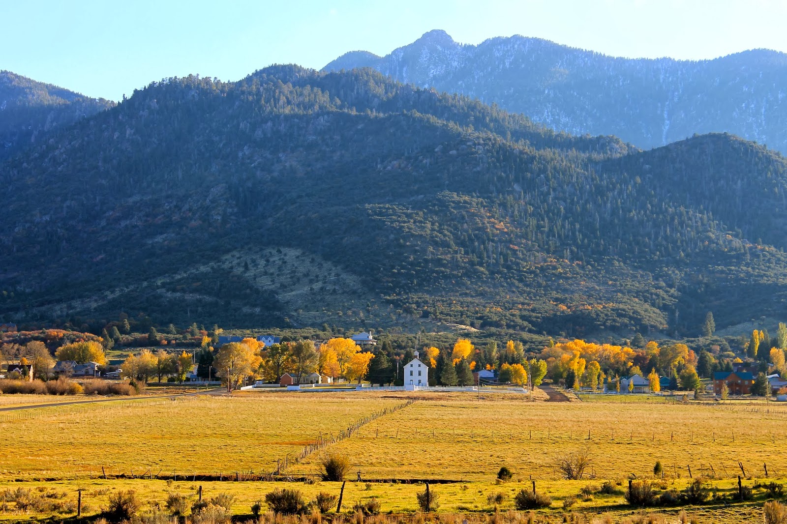 joburg-journey-leaving-pine-valley