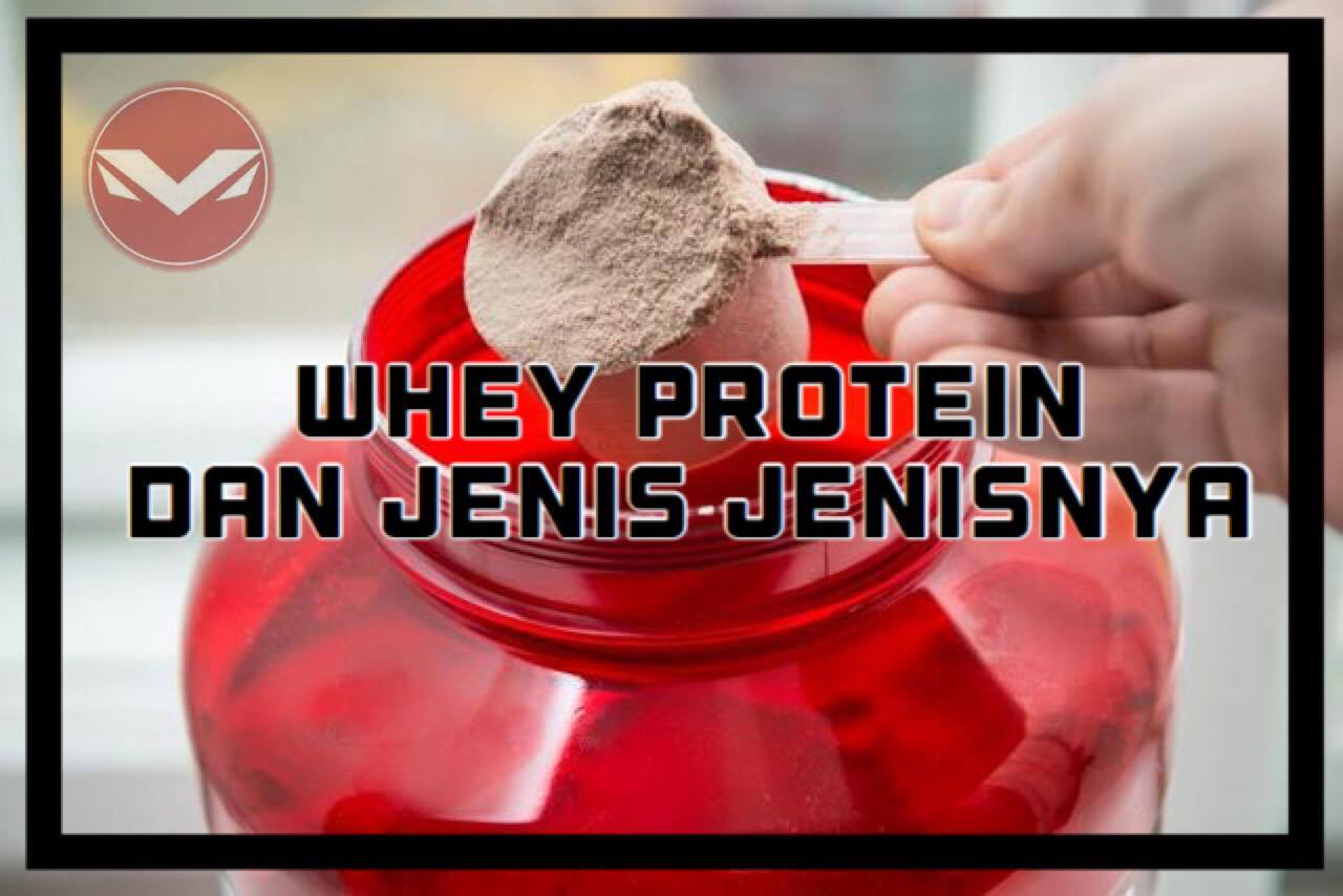 Musclesolid Nutrition Apa Itu Whey Protein Dan Jenis Jenis nya..