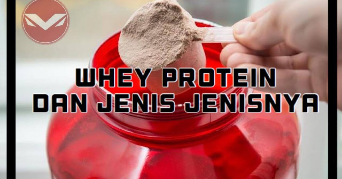Musclesolid Nutrition Apa Itu Whey Protein Dan Jenis Jenis nya..
