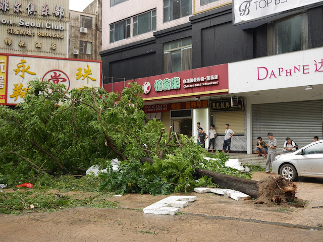 damage from Typhoon Hato at the Lianhua Road Pedestrian Street in Zhuhai, China