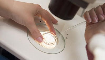 Tips Agar Sperma Kental dan Subur tips agar sperma kental dan%2Bsubur