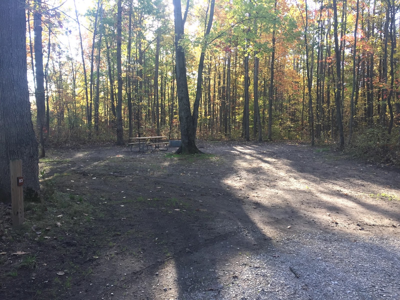 Travel Reviews & Information Newaygo, Michigan / State Campground