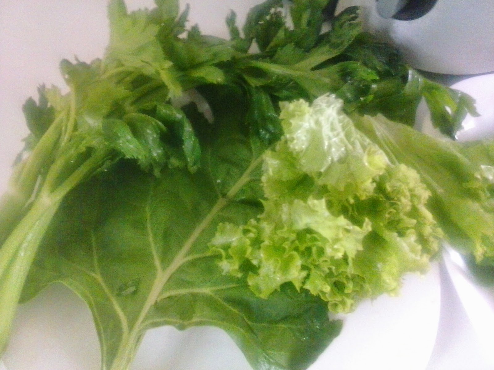 JUGO QUEMA GRASA JUGO QUEMA GRASA