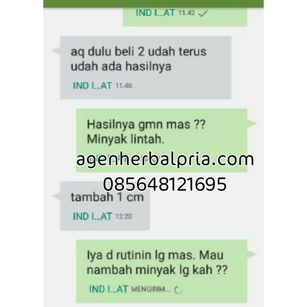 grosir minyak lintah punan suku dayak asli distributor grosir minyak lintah punan suku dayak asli distributor