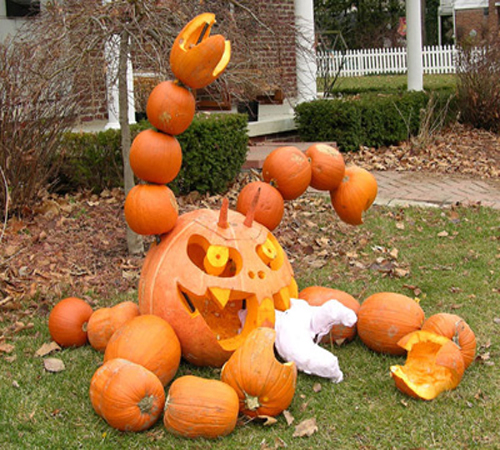 Bilderesultat for funny pumpkin