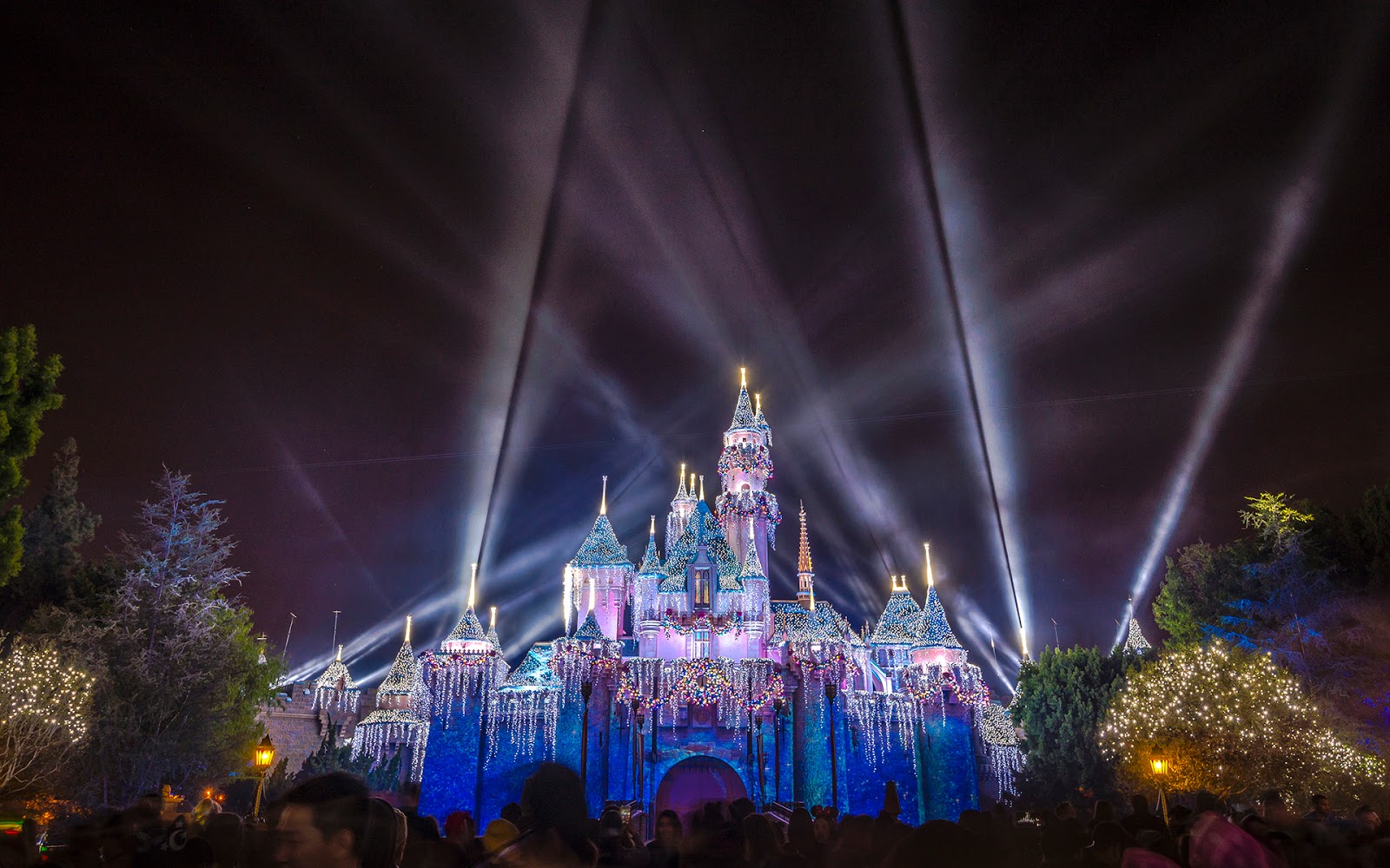 The Castle on Holiday Spotlights