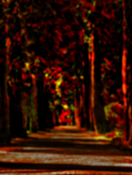 editing lightroom picsart dynamo tutorial