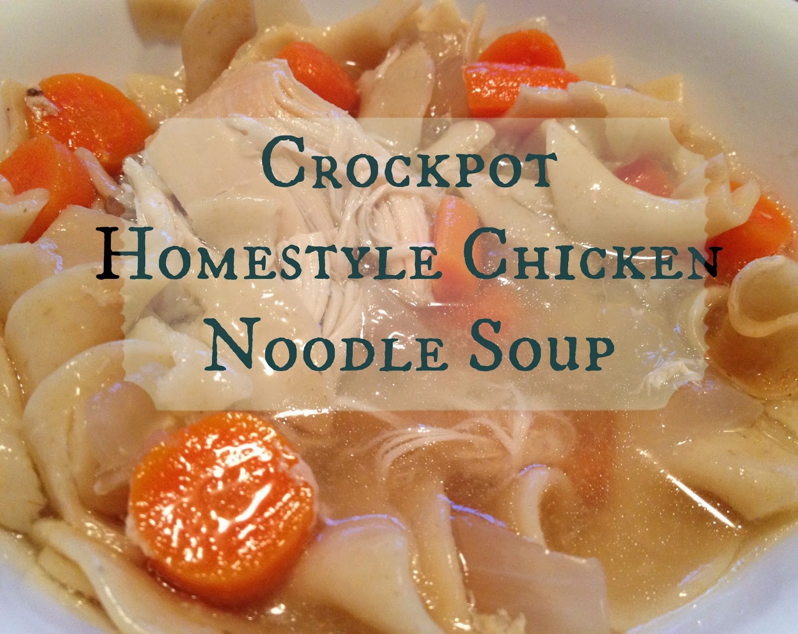 The Simple Life Crockpot Homestyle Chicken Noodle Soup Low Sodium