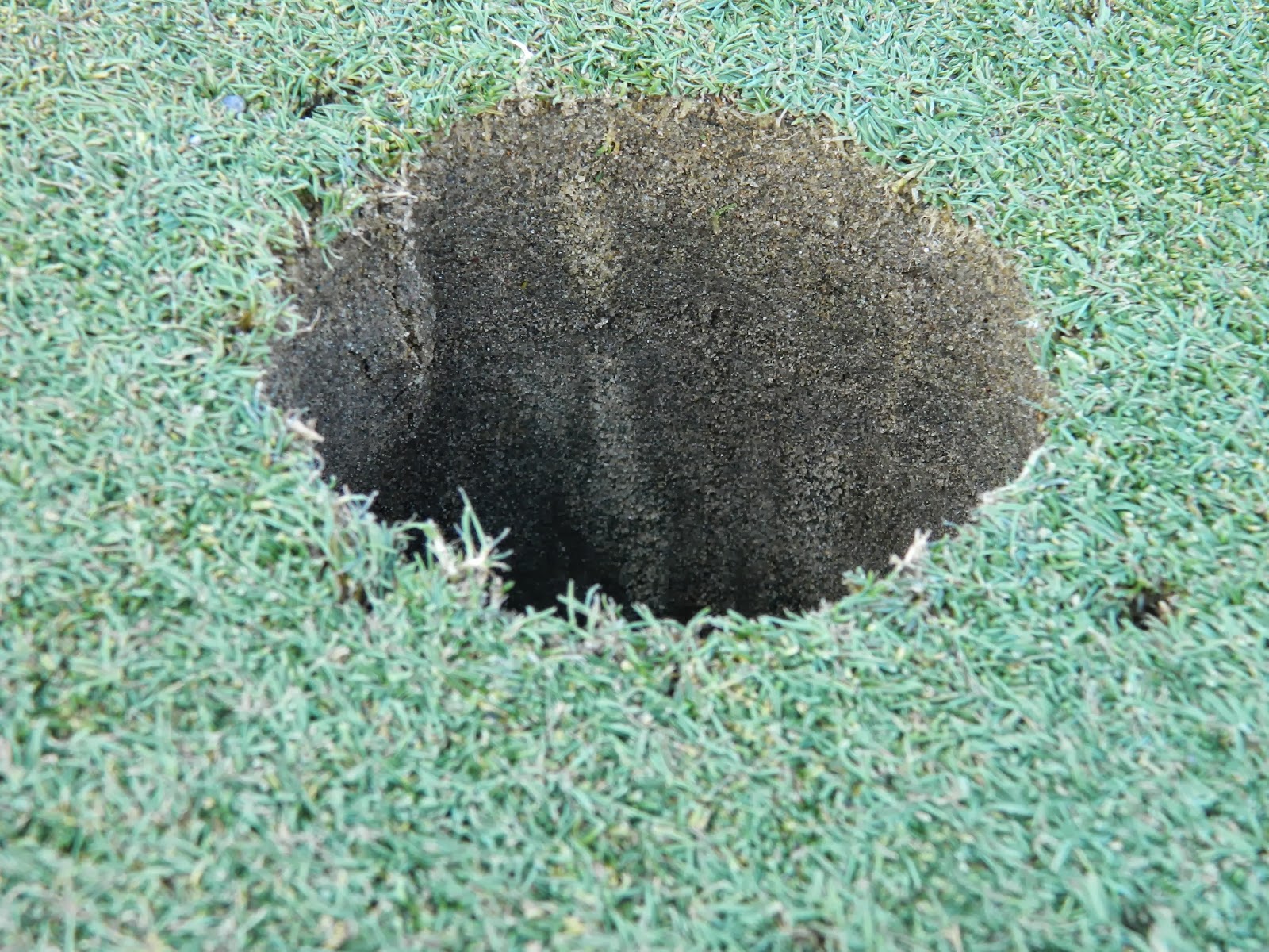 LGCC Golf Maintenance: Aerification complete