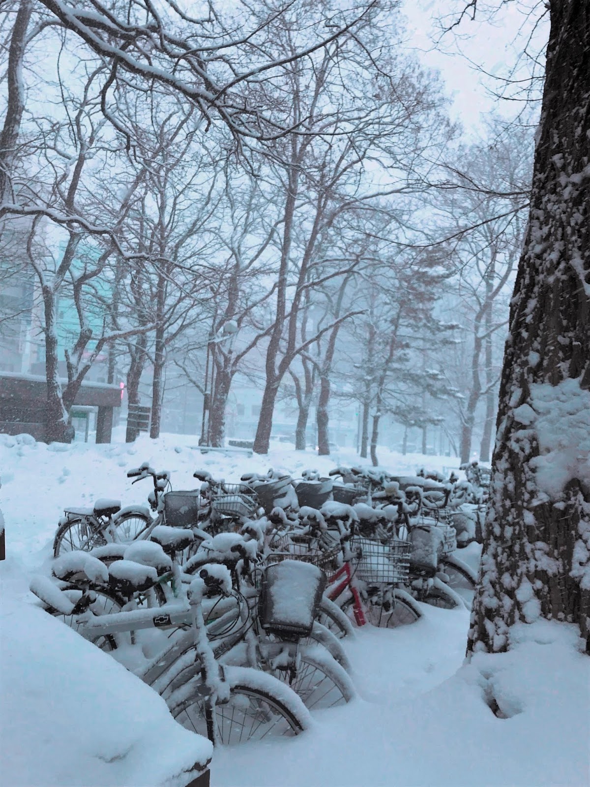 混搭旅遊 北海道 札幌quintssea飯店 附近的中島公園非常美