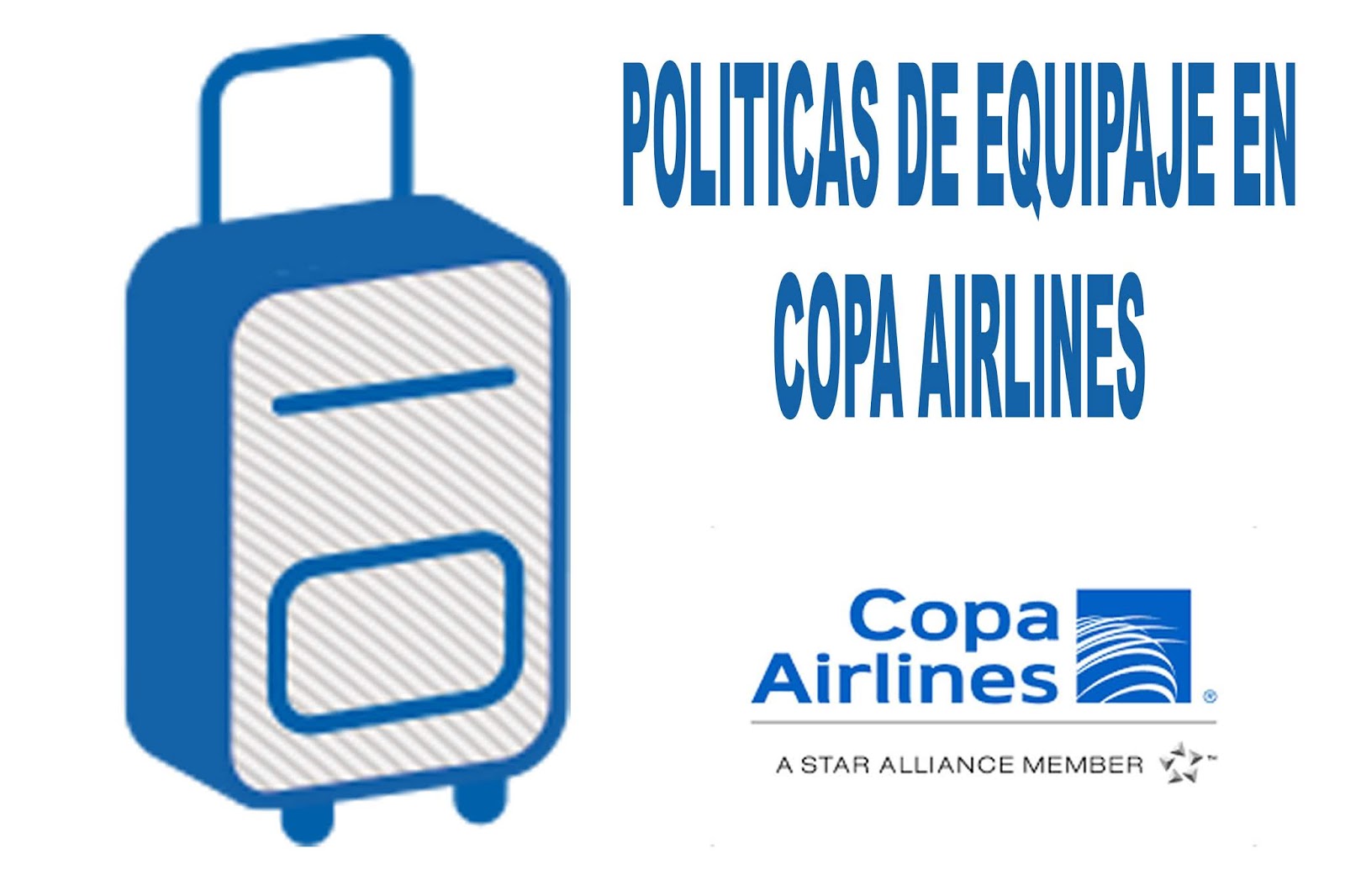 Articulo Personal Peso Extra Copa Airlines Air Europa Medidas